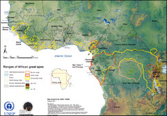 African Great Apes Habitat Range Map