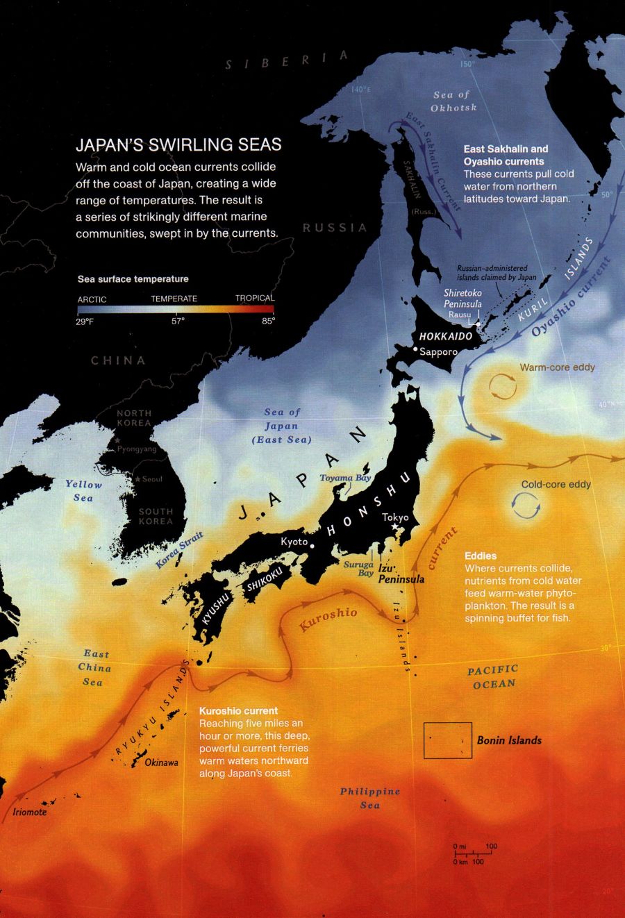 Japans Ocean Currents Map - japan • mappery