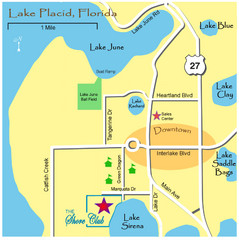 Lake Placide Town Map