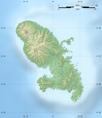 Martinque topography Map