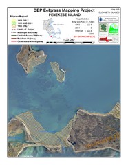 Penekese Island Eelgrass Map