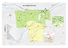 Salt Springs State Park map