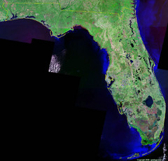 Satellite Image Map of Florida