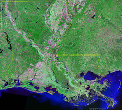 Satellite Image Map of Louisiana