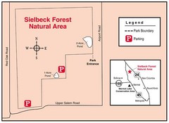 Sielbeck Forest, Illinois Site Map