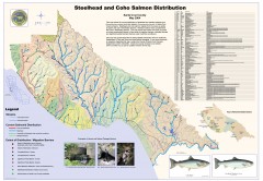 Steelhead and Coho Salmon Distribution Map...