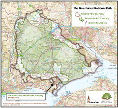 The New Forest National Park Map