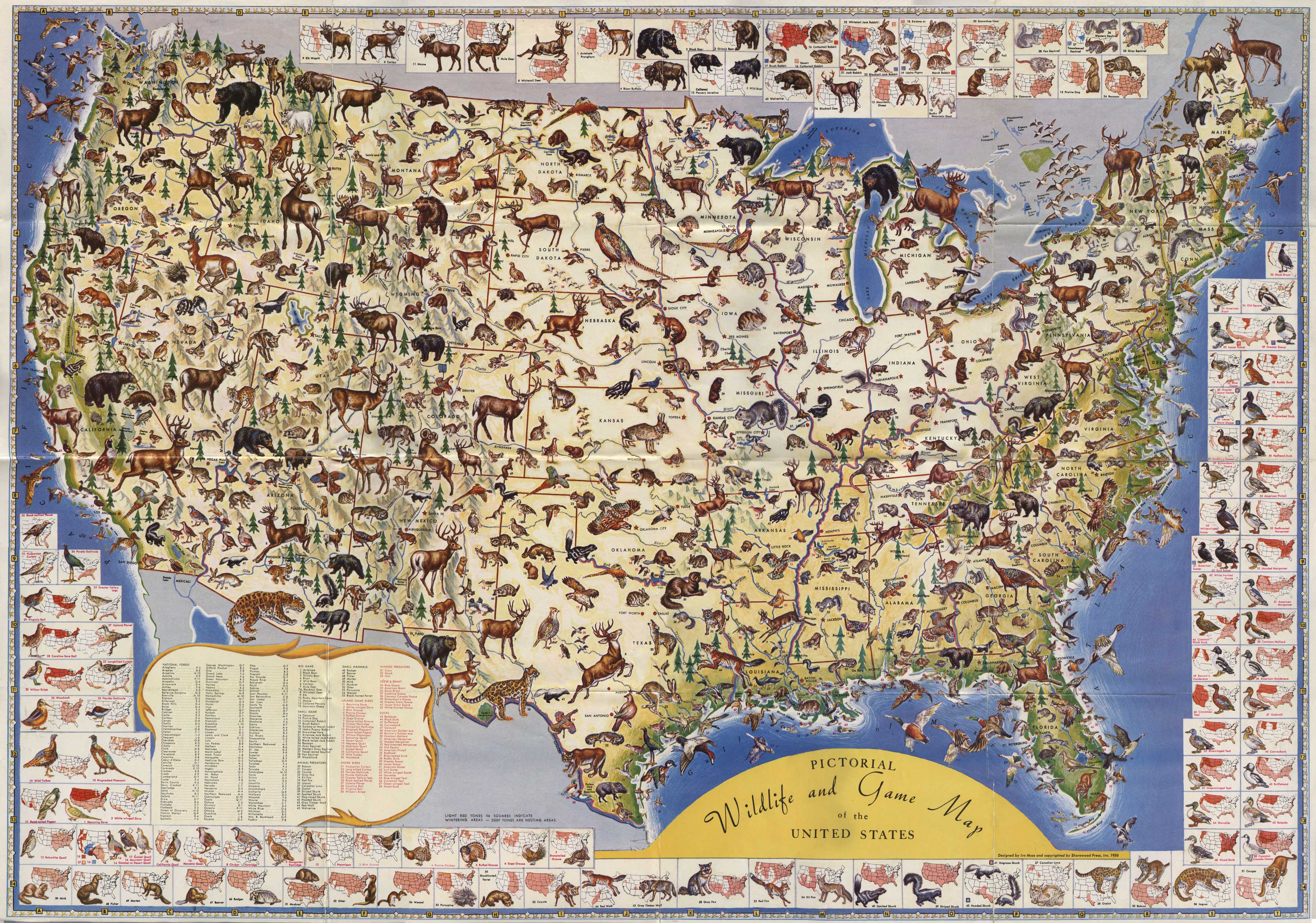 Us Wildlife Map Usa • Mappery