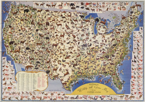 US Wildlife Map